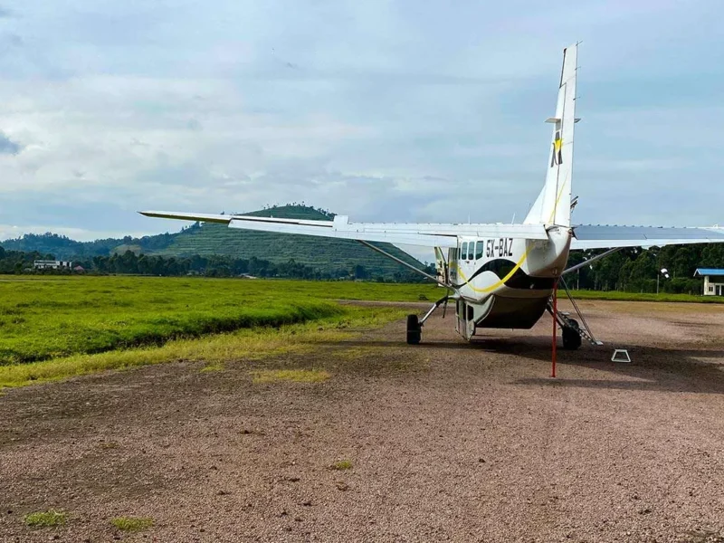 10-Day Best of Uganda Fly-in Safari 10-Day Best of Uganda Fly-in Safari