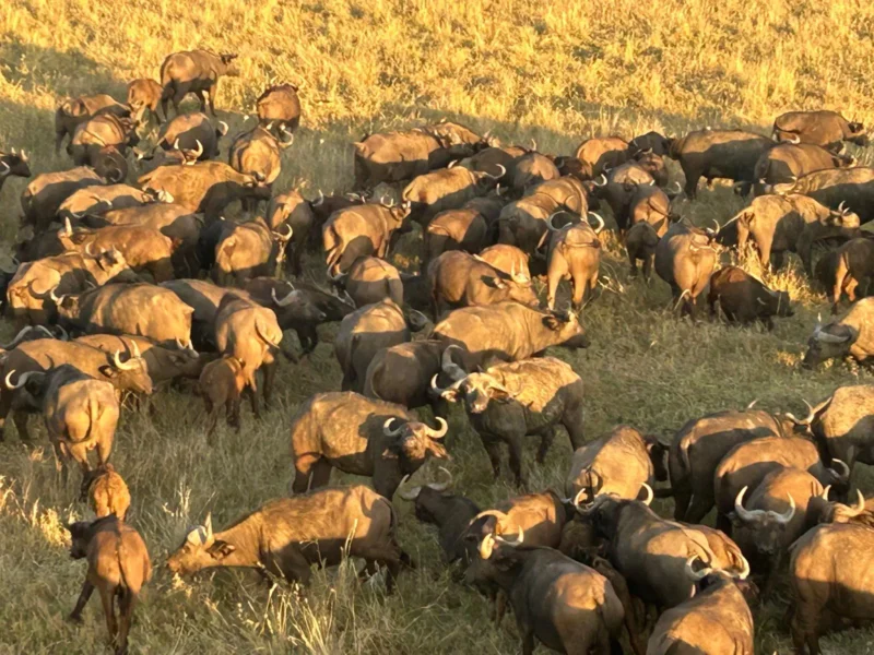 10-Day Kenya Adventure Safari 10-Day Kenya Adventure Safari