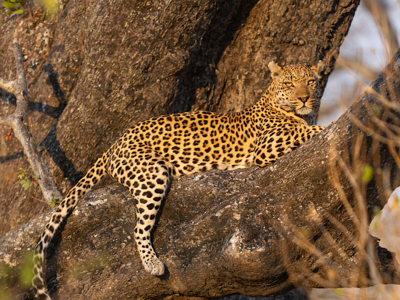 5-Day Ultimate Burundi Safari 5-Day Ultimate Burundi Safari