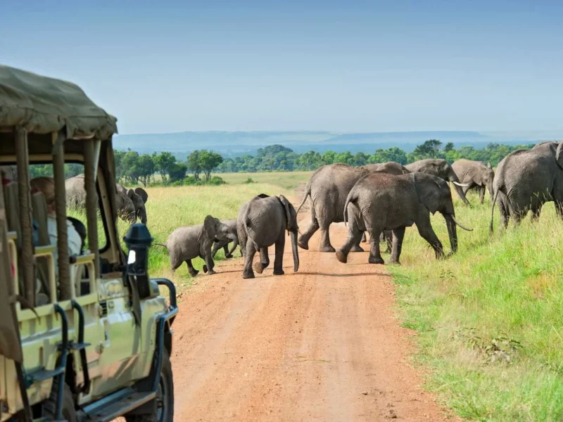 5 Days Uganda Classic Safaris Tour 5 Days Uganda Classic Safaris Tour