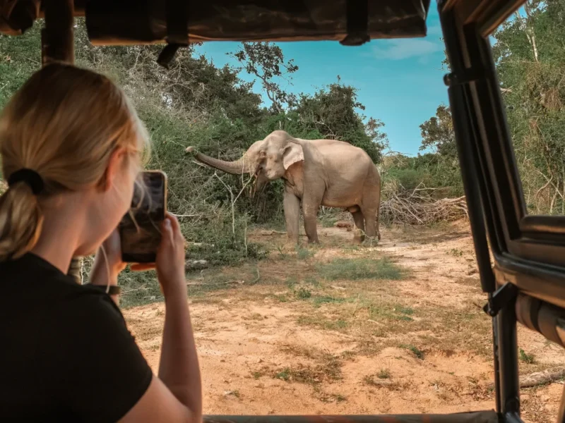 6-Day Private Kenya Big Five Safari 6-Day Private Kenya Big Five Safari