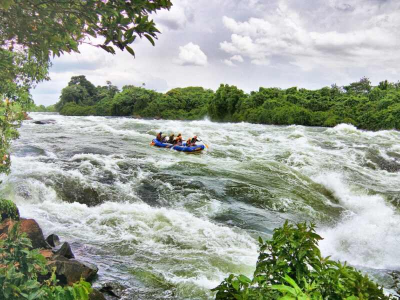 6-Day Uganda Gorilla & White-Water Rafting Tour 6-Day Uganda Gorilla & White-Water Rafting Tour