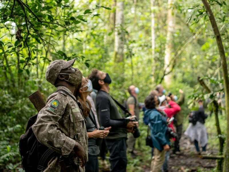 6 Days Uganda Adventure Tour 6 Days Uganda Adventure Tour