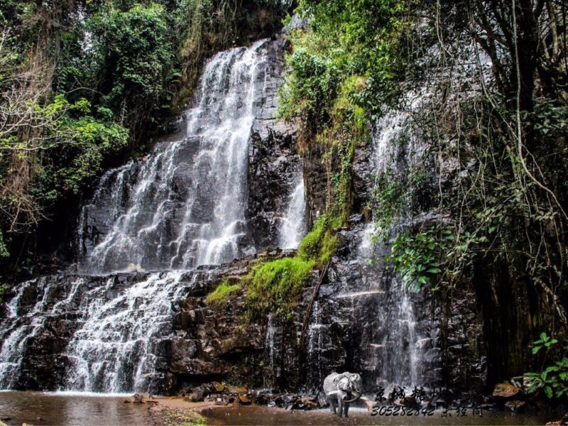 7-Day Burundi Exploration Safari 7-Day Burundi Exploration Safari