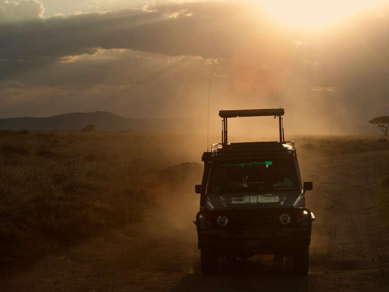 7-Day Tanzania Wildlife Wonders Experience Tour 7-Day Tanzania Wildlife Wonders Experience Tour