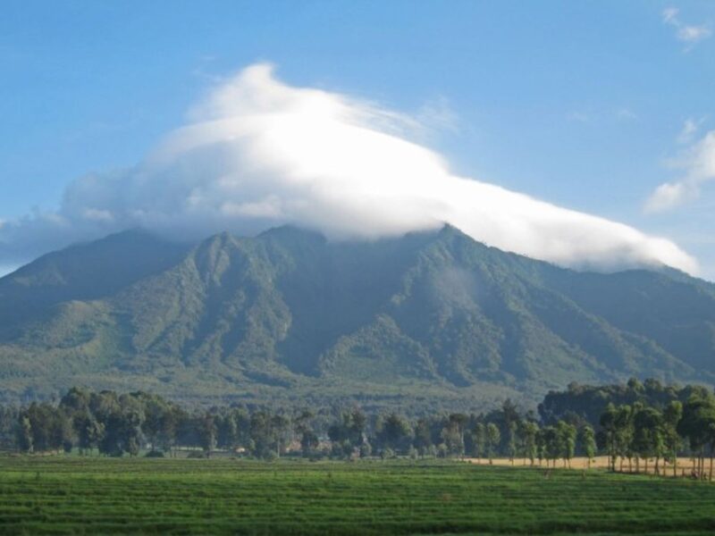 7 Days One Week Rwanda Tour 7 Days One Week Rwanda Tour