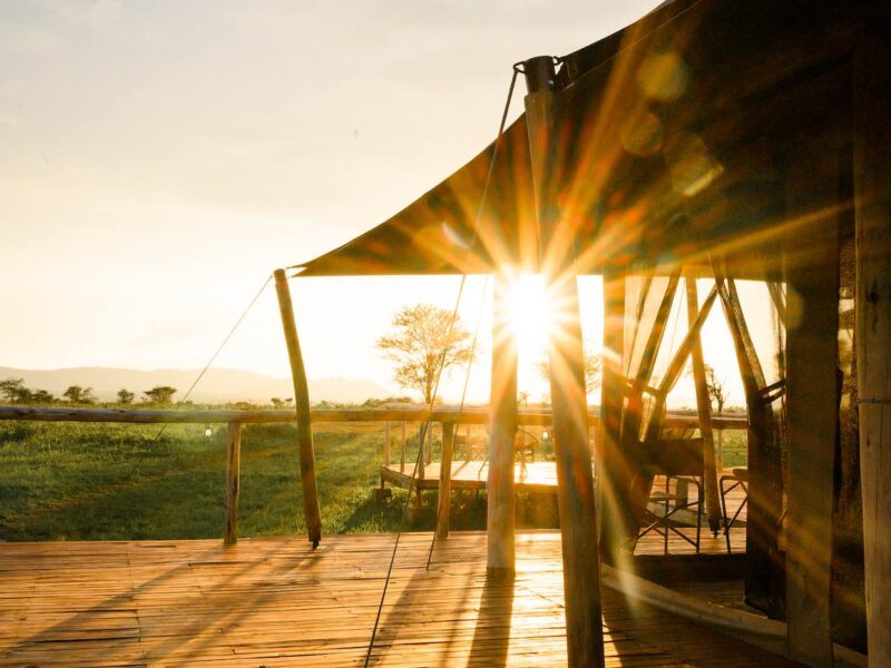 8-Day Tanzania Mid-Range Safari