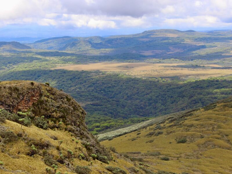 Aberdare-National-Park-Kenya-2 Aberdare National Park