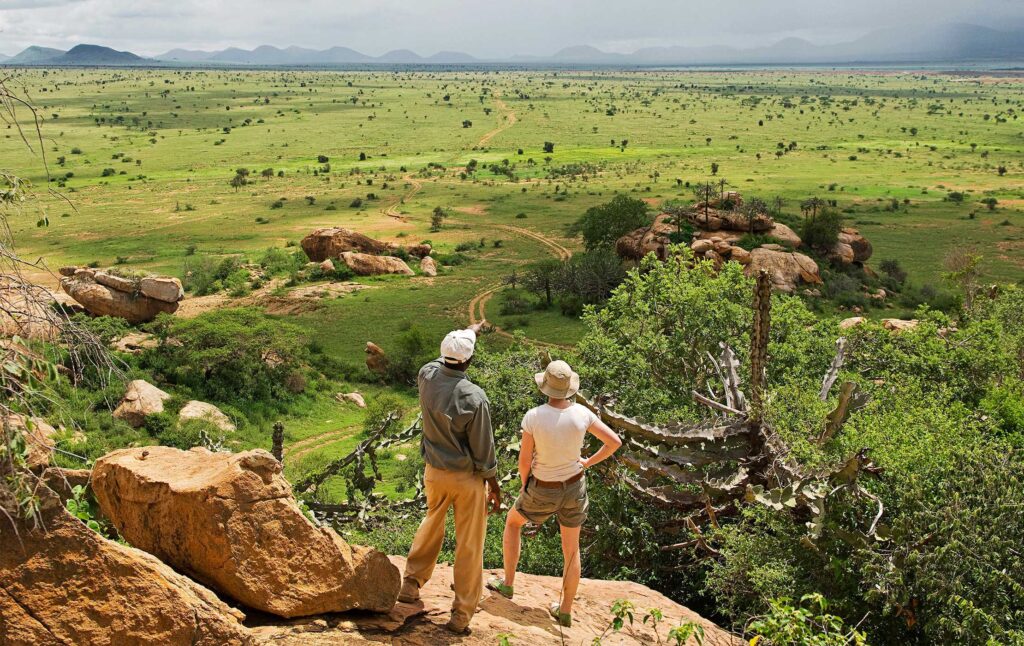 Africa Adventure Safaris