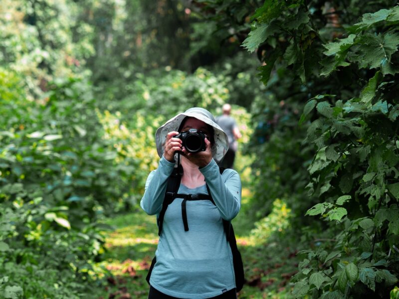 Bwindi Impenetrable National Parks Bwindi Impenetrable National Parks