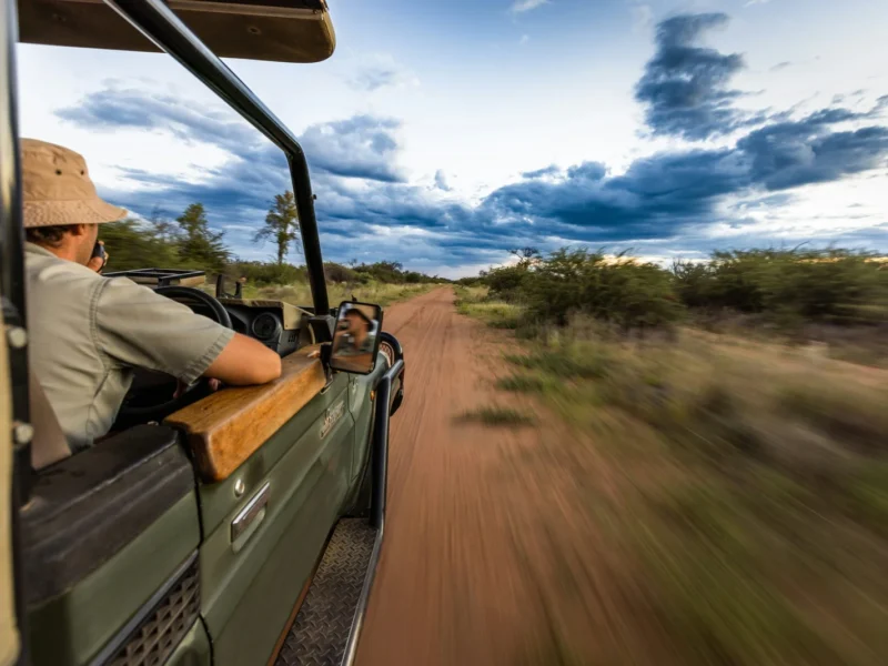 9-Day Kenya Wildlife Road Safari
