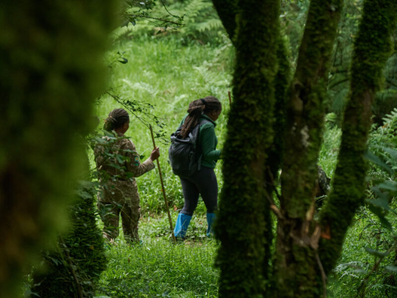 Gorilla-Trekking25042024_VolcanoesSafaris_2246 Gorilla-Trekking25042024_VolcanoesSafaris_2246