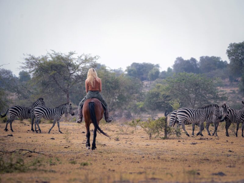 Lake Mburo National Park Lake Mburo National Park