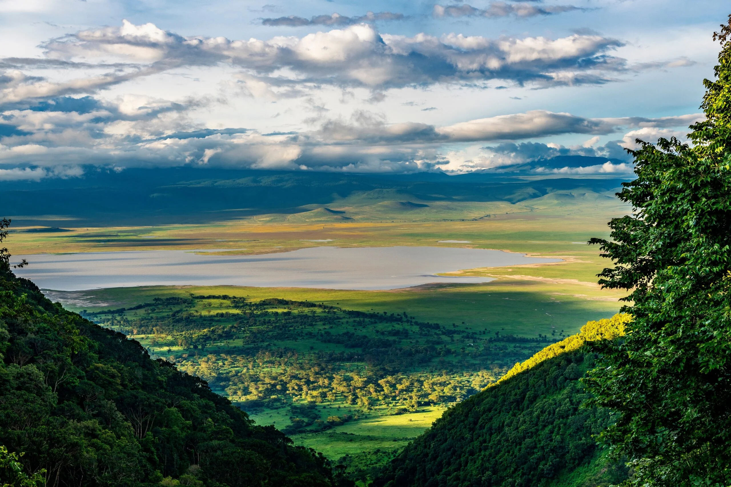 Ngorongoro Conservation Area