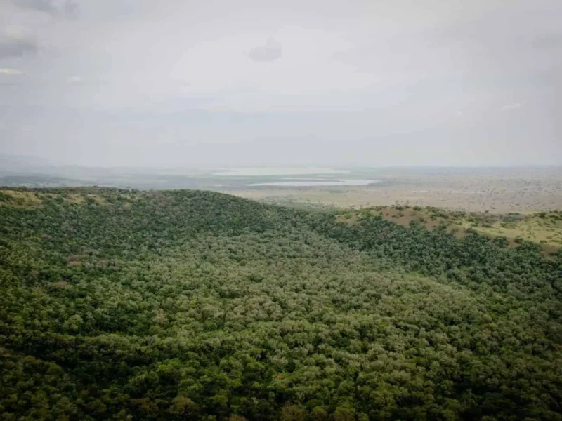 Queen Elizabeth National Park Queen Elizabeth National Park