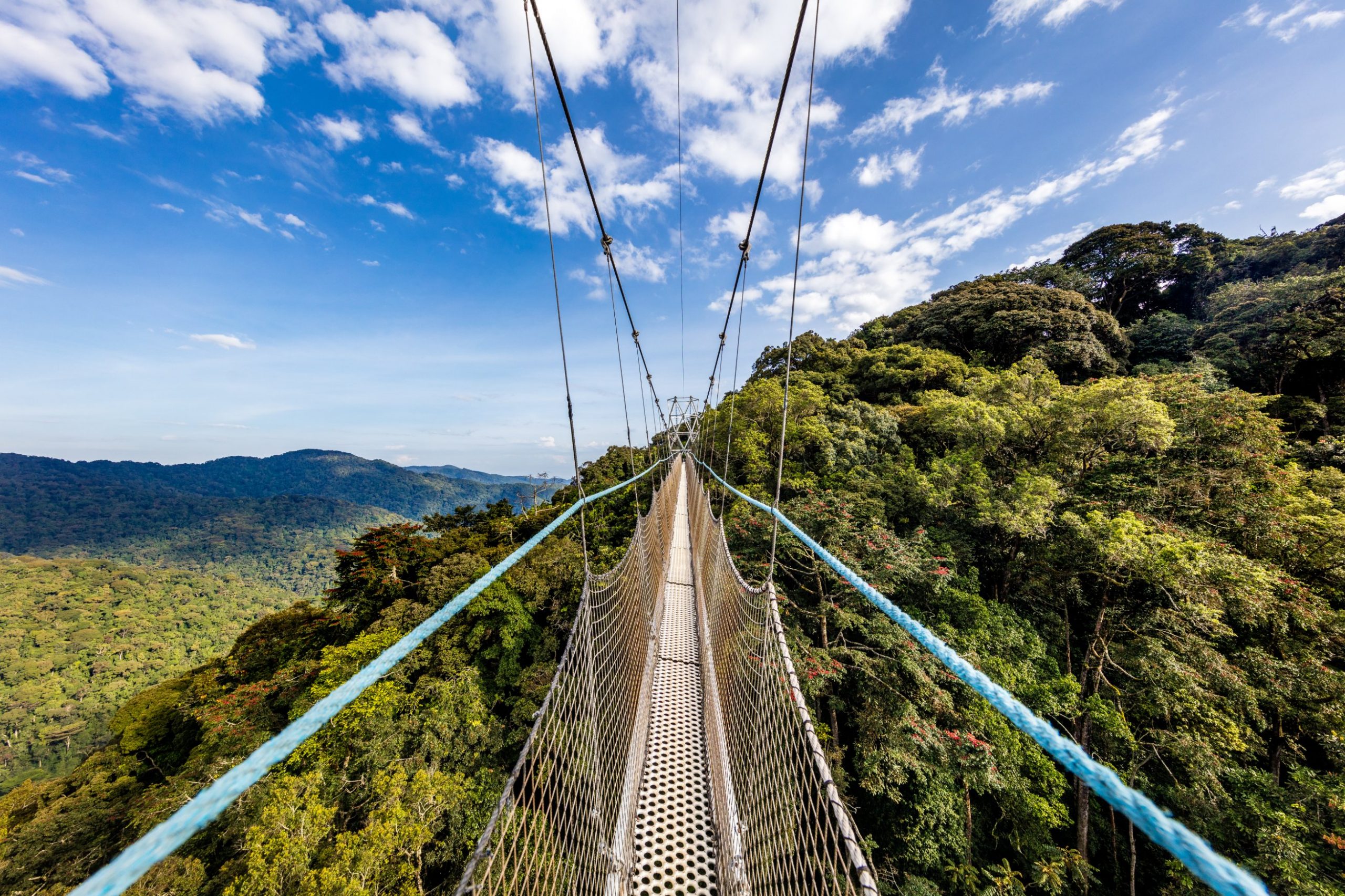 Discover the Wild Heart of Africa