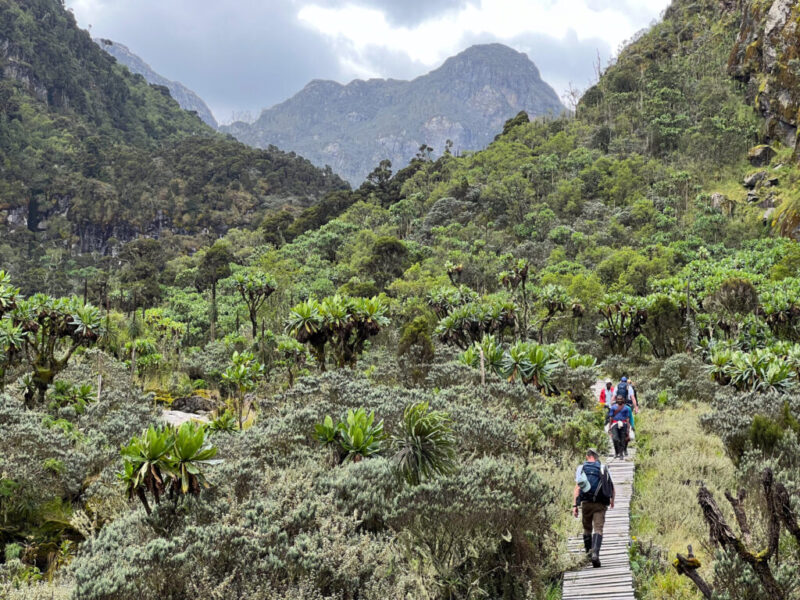 Rwenzori Mountains National Park Rwenzori Mountains National Park