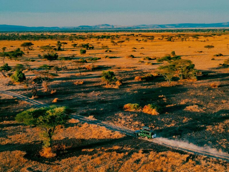 Serengeti National Park Serengeti National Park