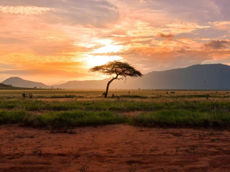 Tsavo East National Park Tsavo East National Park