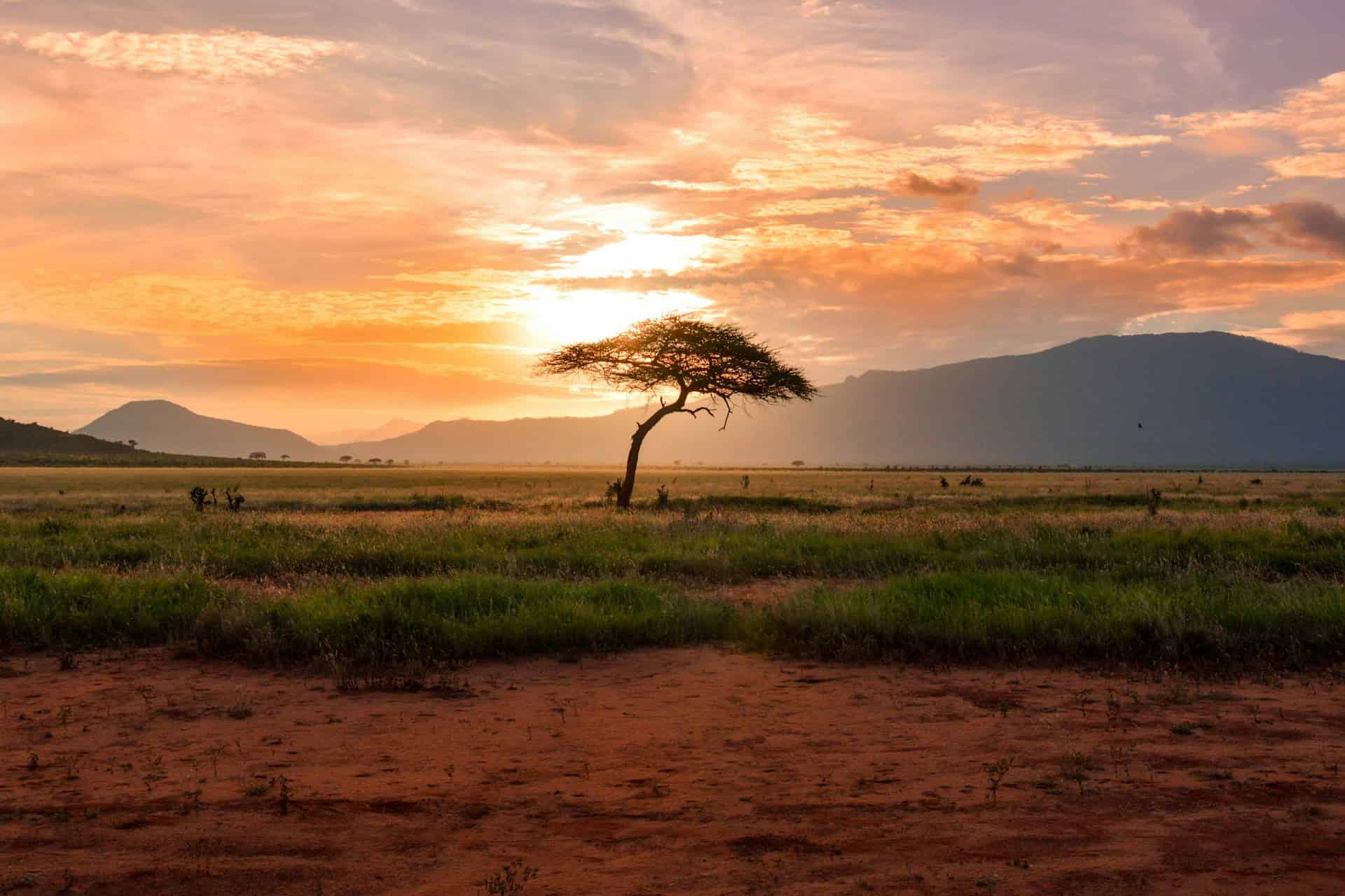 Tsavo East National Park