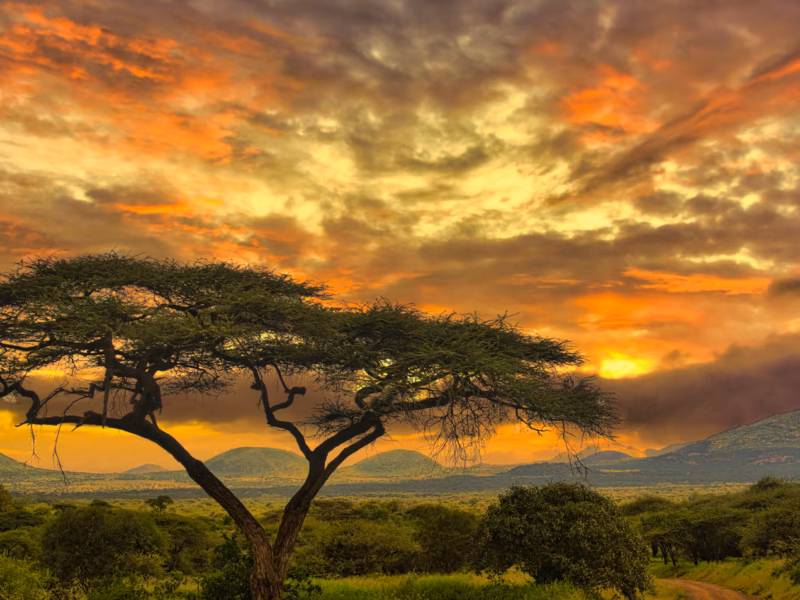 Tsavo West National Park Tsavo West National Park