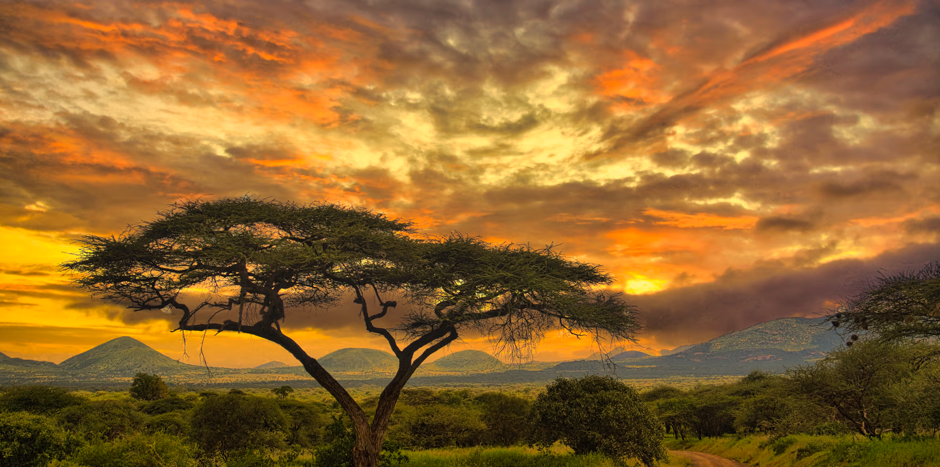 Tsavo West National Park
