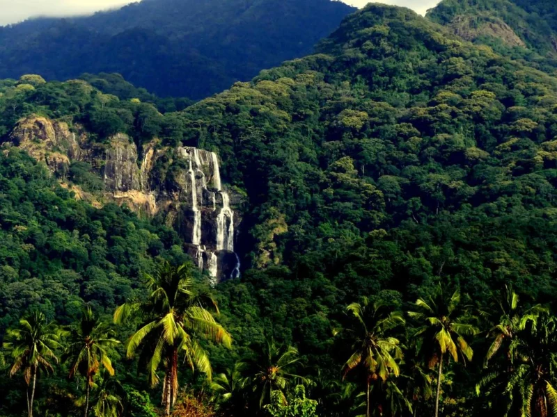 Udzungwa Mountains National Park Udzungwa Mountains National Park