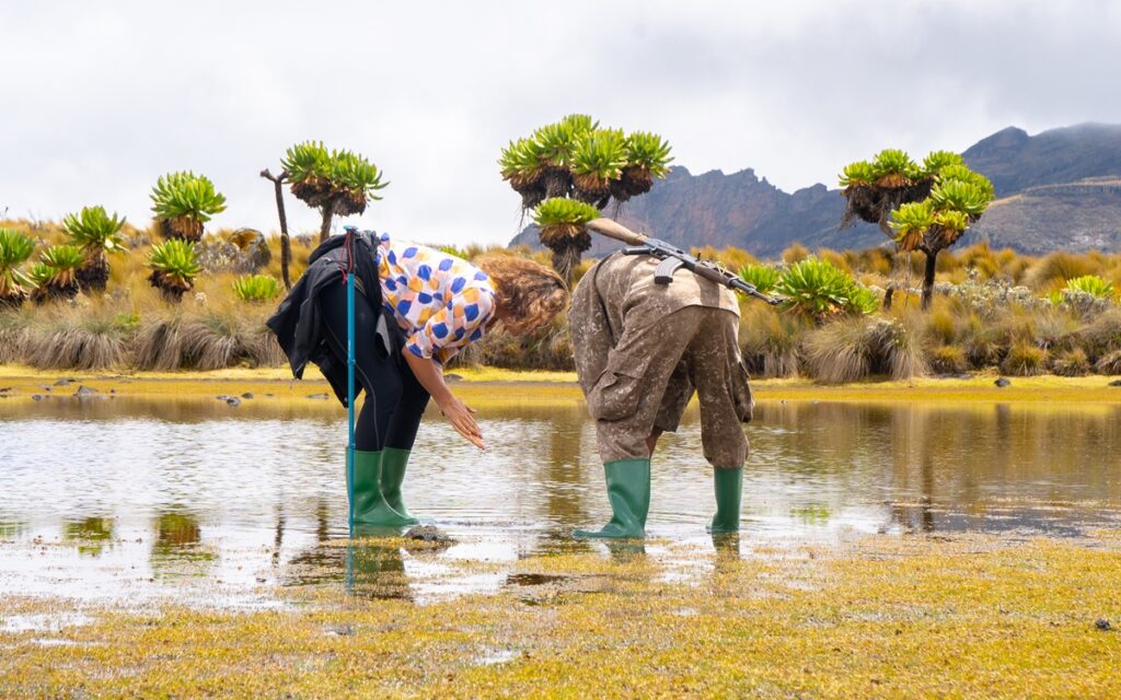 Uganda Safari Adventures