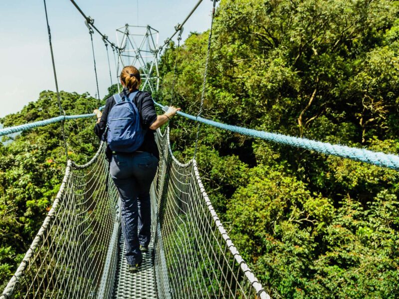 8-Day Rwanda Gorilla, Chimp, Primate & Cultural Tour 8-Day Rwanda Gorilla, Chimp, Primate & Cultural Tour