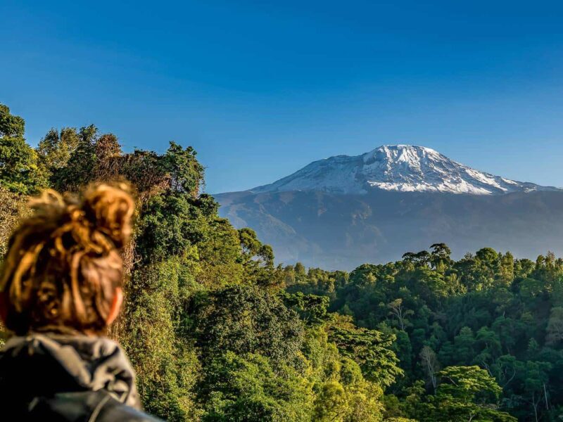 Kilimanjaro National Park Kilimanjaro National Park