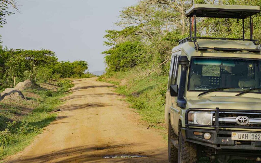 Long Uganda Safaris